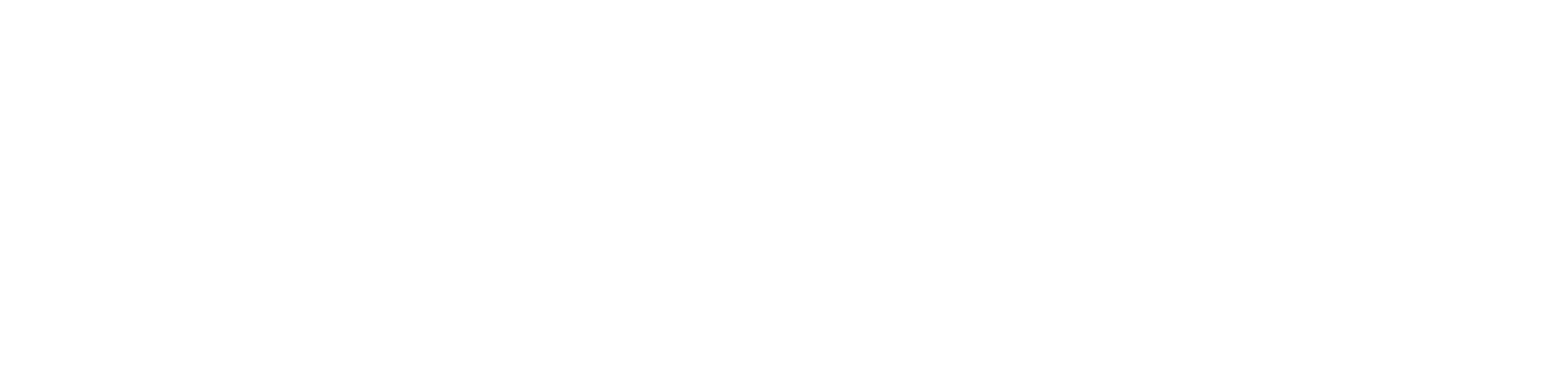 logo toonetcreation